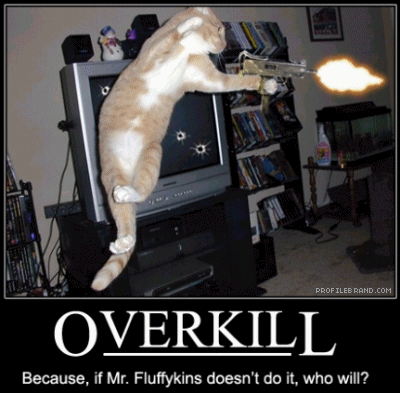 funny cats with guns pictures. funny cats with guns pictures.