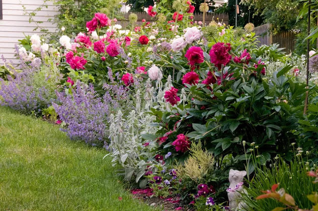 色とりどりの花畑を作るための 5 つの簡単なステップ