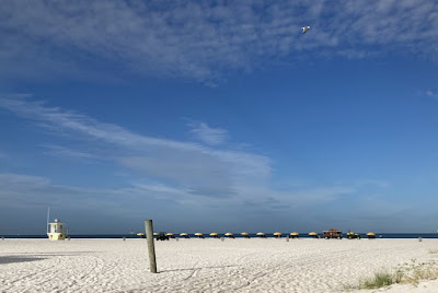 Relax along the shores of Clearwater Beach