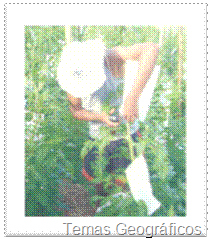 clip_image006