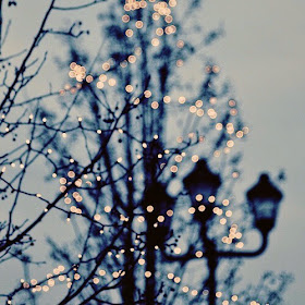 Christmas Ligths