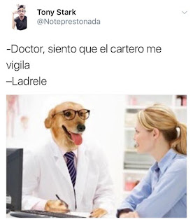 meme dogtor