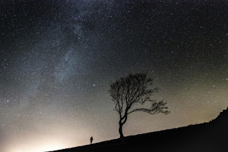 Homme et arbre devant le ciel étoilé