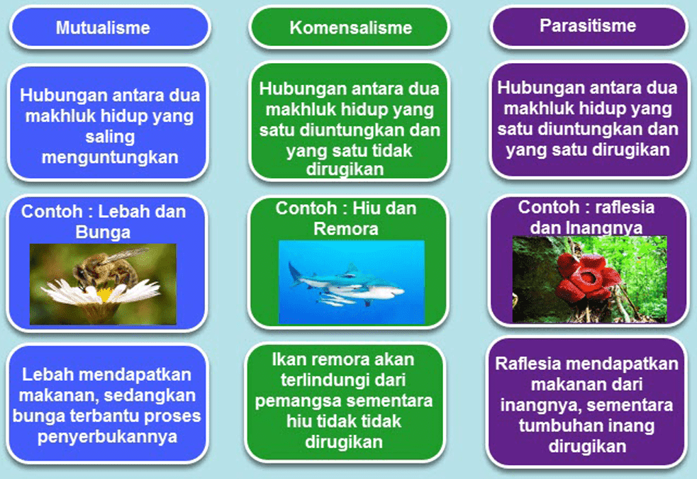 Kunci Jawaban Halaman 85, 86, 87, 89, 90 Tema 5 Kelas 5