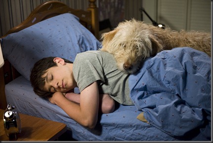 Diary Of A Wimpy Kid 3
