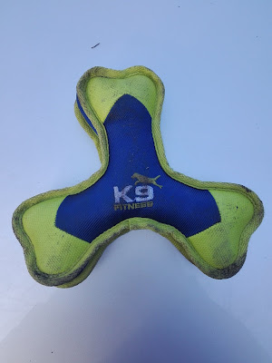 K9 fitness bumerang