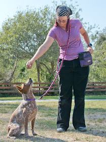 Flexible braided paracord double snap leash.