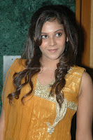 Tamil, actress, chandni, latest, photos