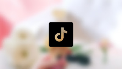 Tiktok erisim reklamı ne demek