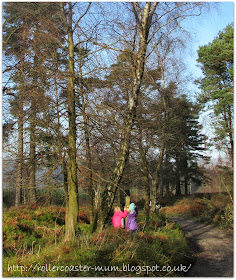 trail signs for Highcombe Hike,  National Trust Devil's Punch Bowl, Surrey Hills