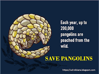 <imgsrc="http://udinikkara.blogspot.com/image.jpg" alt="world pangolin day" … />