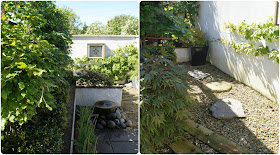 back garden - 'growourown.blogspot.com' ~ an allotment blog