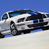 Ford Shelby GT 500