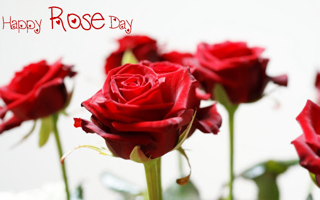 Happy rose day 2016