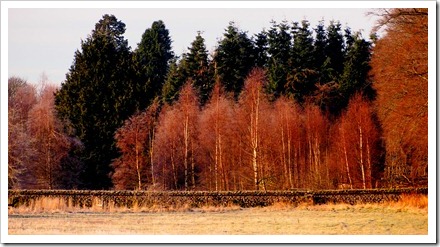 15 Jan 4 15-01-2012 12-33-45