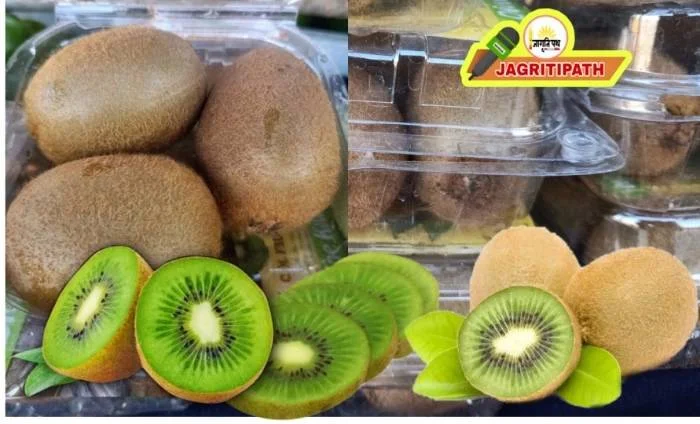 kiwi fruit कीवी फल