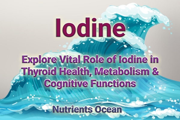 Role of Iodine in Health and Vitality