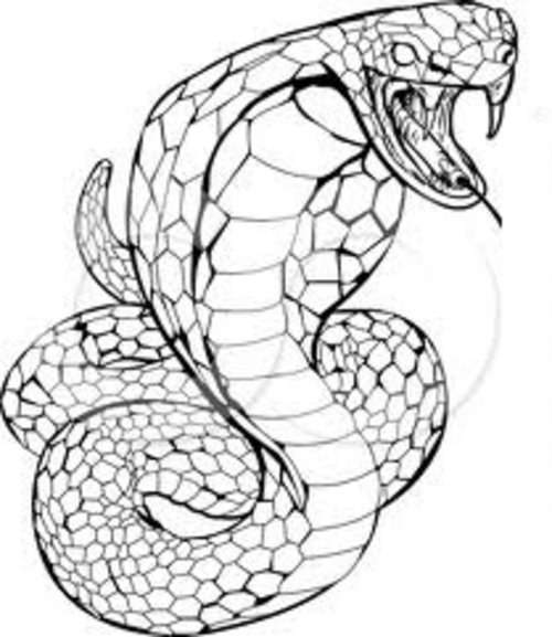 cobra coloring pages for kids