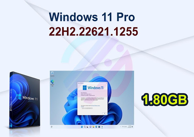 Windows 11 Pro 22H2.22621.1255