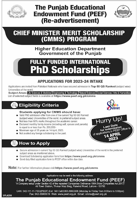 PEEF The Punjab Educational Endowment Fund Jobs 2023