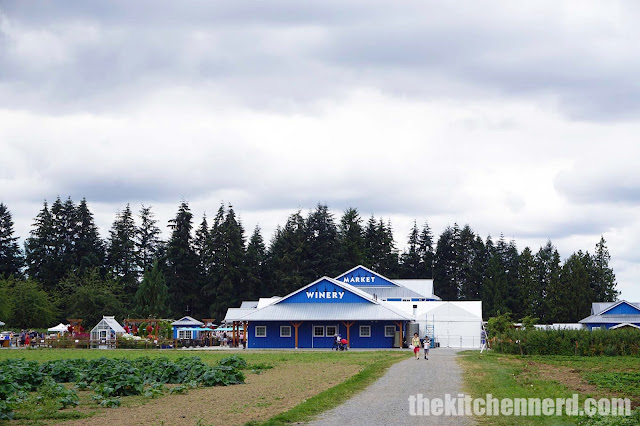 Krause Berry Farms & Estate Winery Back | The Kitchen Nerd