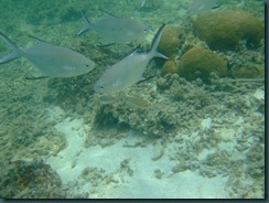 t_DSCF1745