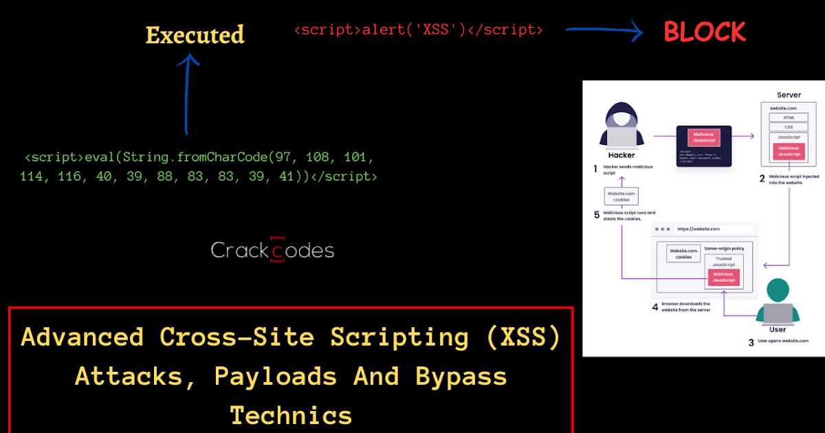 Cross Site Scripting (XSS) for Beginners - Hackercool Magazine