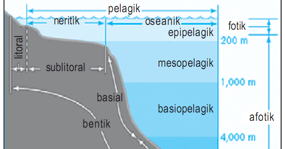 Contoh Ekosistem Dan Komunitas - Contoh Z