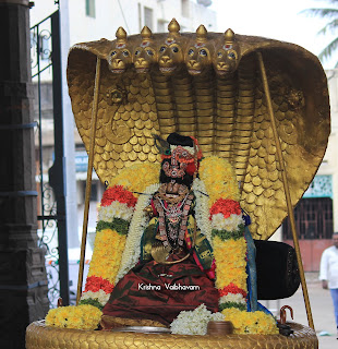 Sri Krishna Jayanthi,Kutty Krishna, Purappadu, Video, Divya Prabhandam, Sri Parthasarathy Perumal, Triplicane, Thiruvallikeni, Utsavam, 