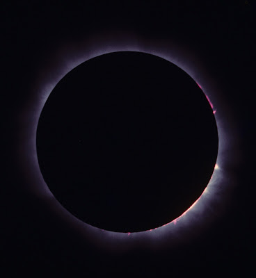 Solar Prominences During Totality