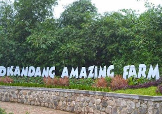 D'Kandang Amazing Farm, Depok