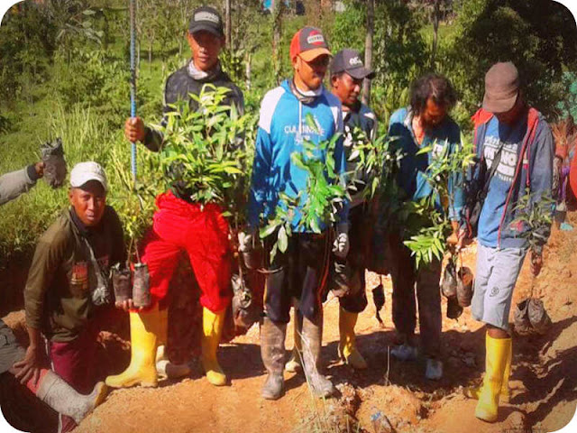 Kodim 1506 Pelopori Program Reboisasi 1500 Pohon di Gunung Botak