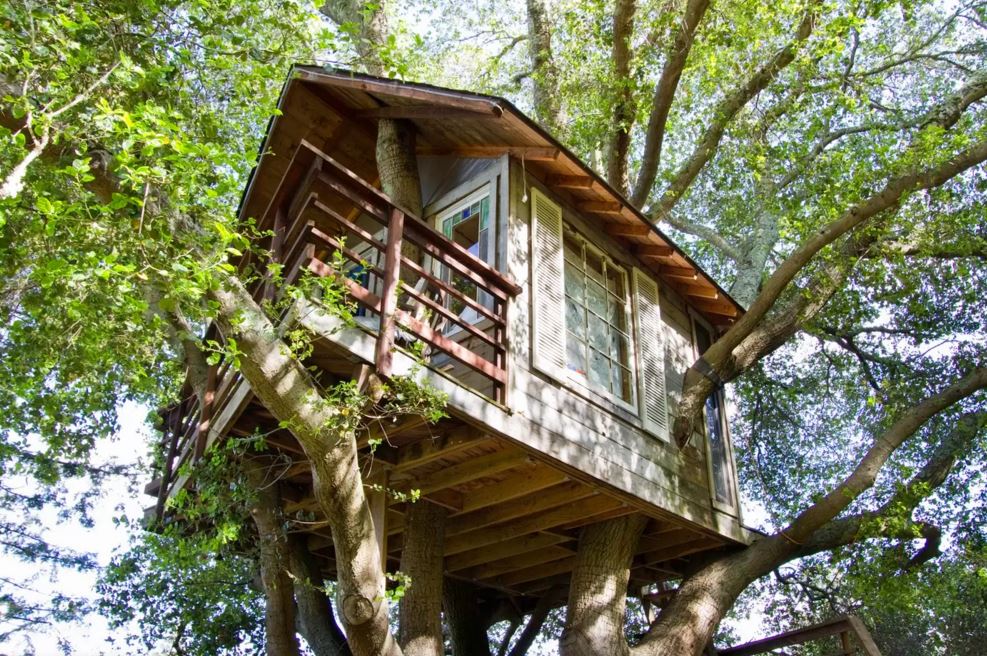 Fazer Casa na Árvore Construa a sua Própria Casa Aprendda