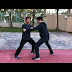 Tai Chi Free Pushing Hands