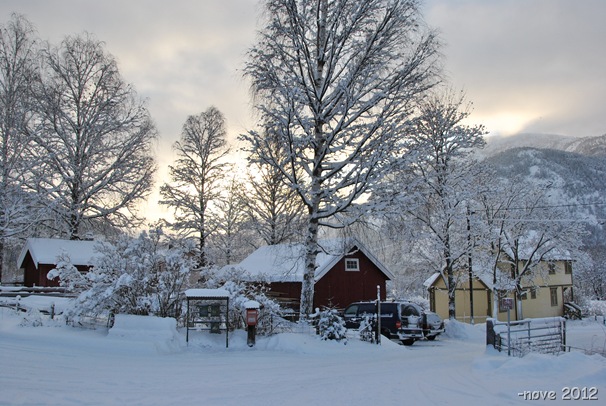 Winter 028