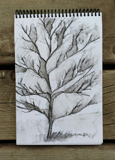 three trees charcoal on paper