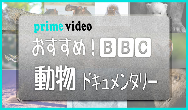 Amzonプライムビデオで見れるBBC動物ドキュメンタリー