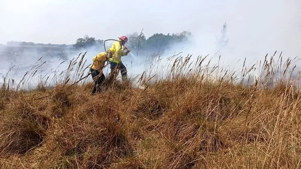 Salta es la provincia más afectada por los incendios forestales con siete “focos activos”