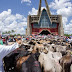 La Tradición de los Toros de la Virgen de La Altagracia se mantiene hoy en Dia.