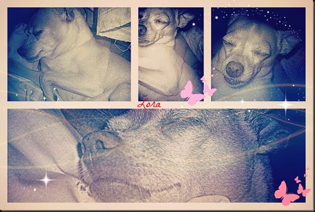 PicMonkey Collage23