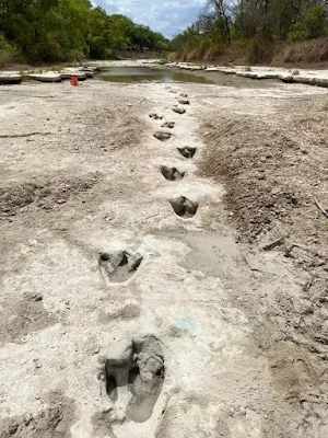Dinosaur tracks along river side