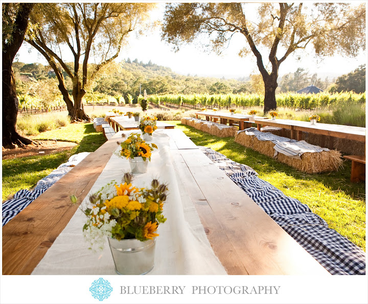 Sonoma Vineyard Country Western Theme Wedding Photography Private Vineyard 