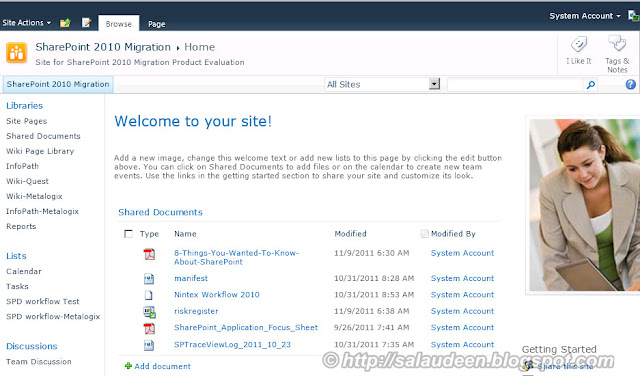 SharePoint 2010 look and feel