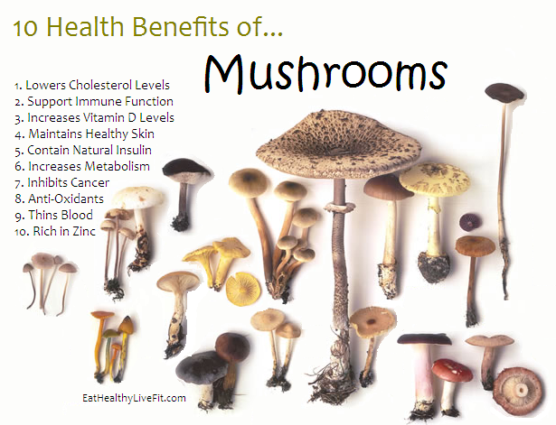 are mushrooms good for you