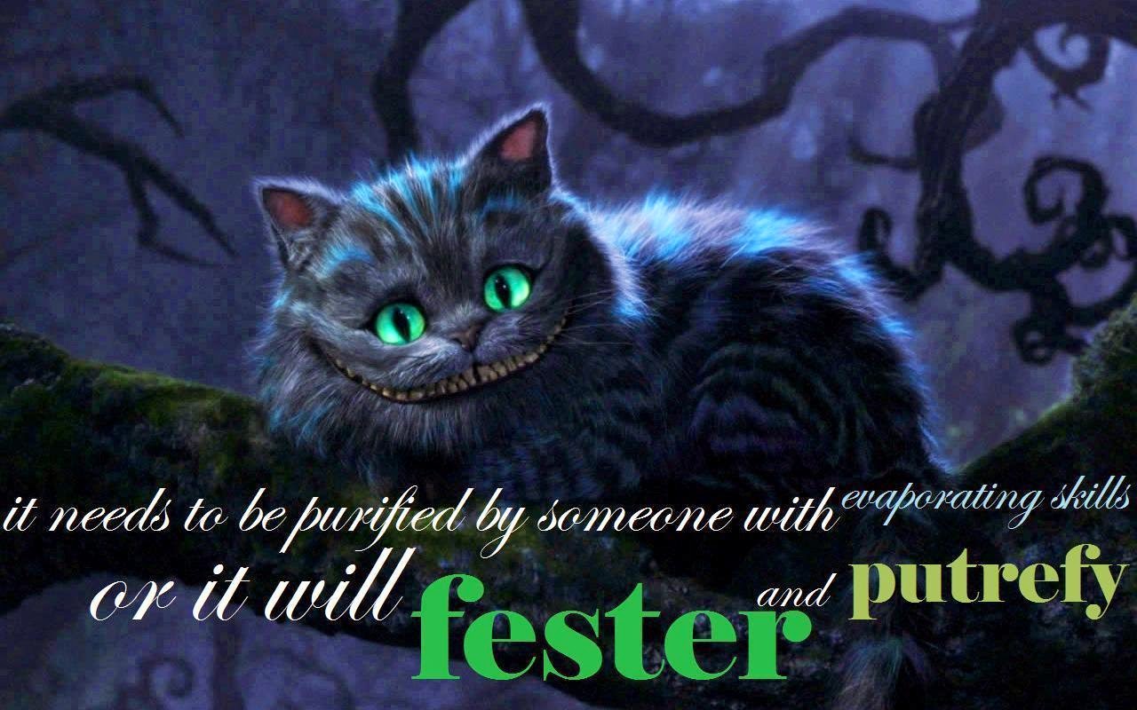 cheshire cat quotes