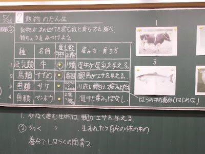 5年 理科 人の誕生 ノート 264600-5年 理科 人の誕生 ノート