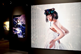 Mika Ninagawa @ teamLab Borderlessの写真