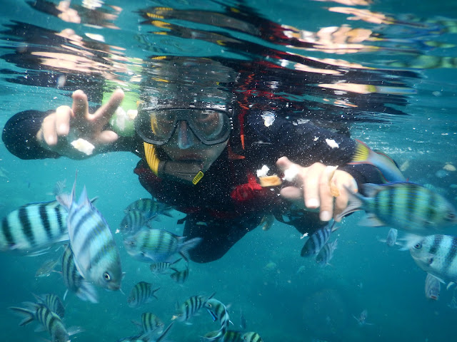 snorkeling di karimunjawa