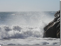 Brookings Oregon