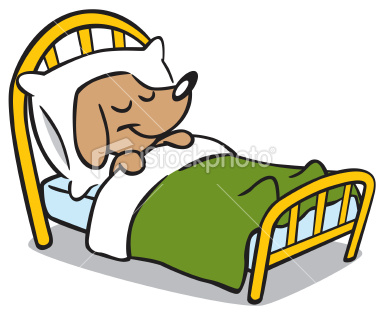 sleeping in bed cartoon istockphoto_7390477-cute-dog-sleeping-i...